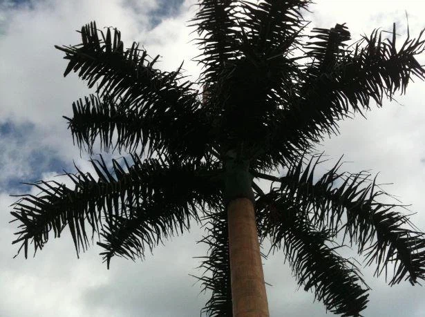 Menara Bionic Menyamar Sebagai Pokok Kelapa