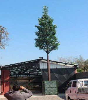 Menara Antena Pokok Kayu Penyamaran