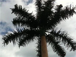 Menara Pokok Penyamaran Menara Isyarat Komunikasi Pokok Palma Pine