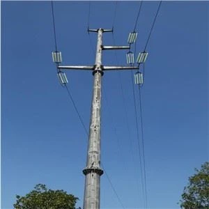 Menara Monopole 100 kaki